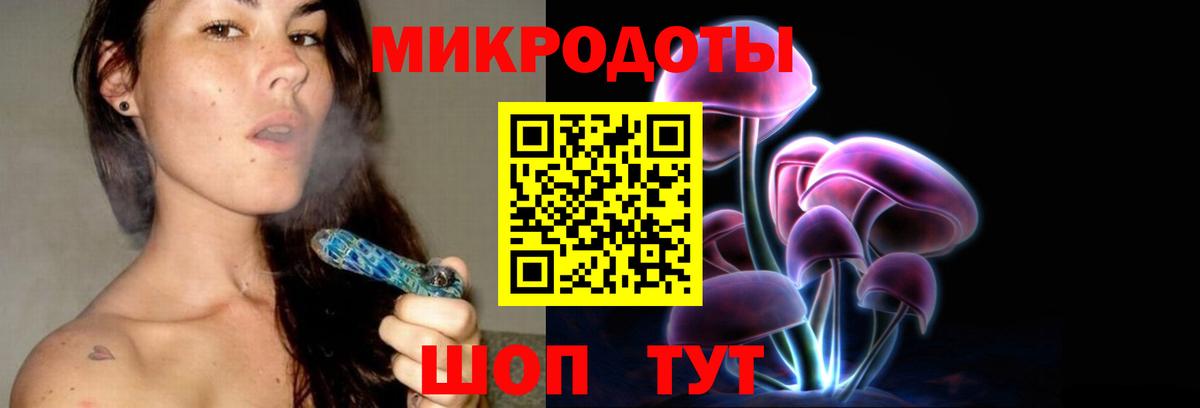Псилоцибиновые грибы Cubensis Менделеевск